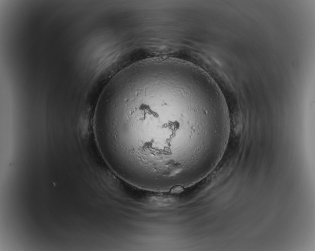 X0000093430515200710121204