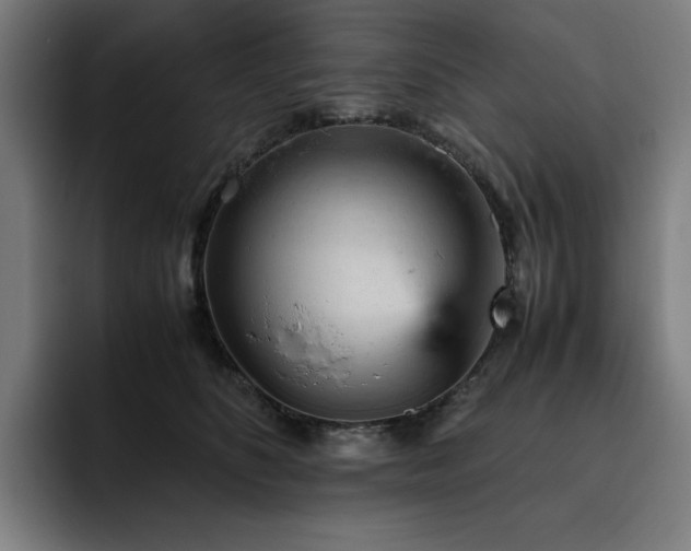 X0000093430516200710121204