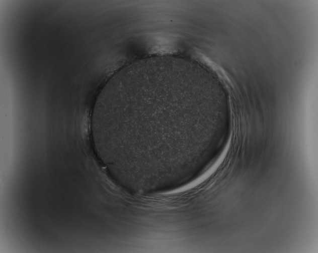 X0000093430517200710121204