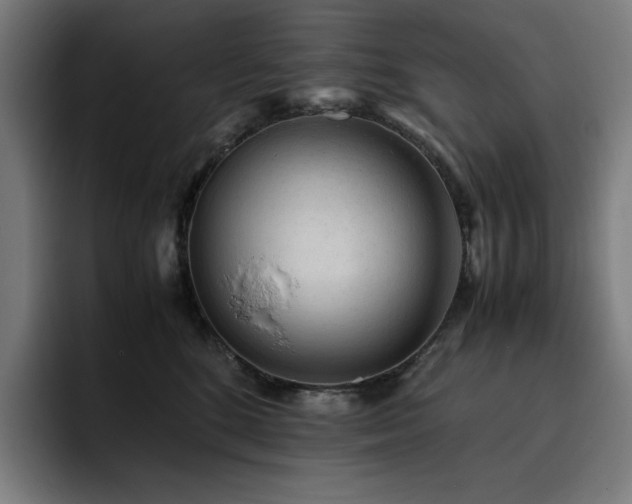 X0000093430520200710121204