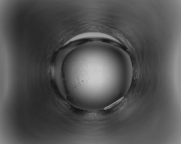 X0000093430521200710121204
