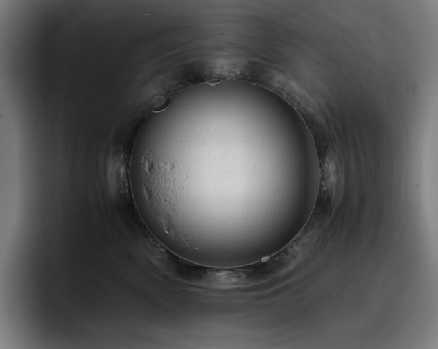 X0000093430522200710121204