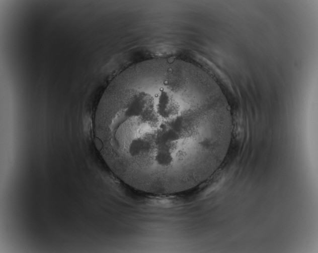 X0000093430523200710121204