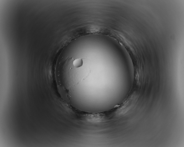 X0000093430524200710121204