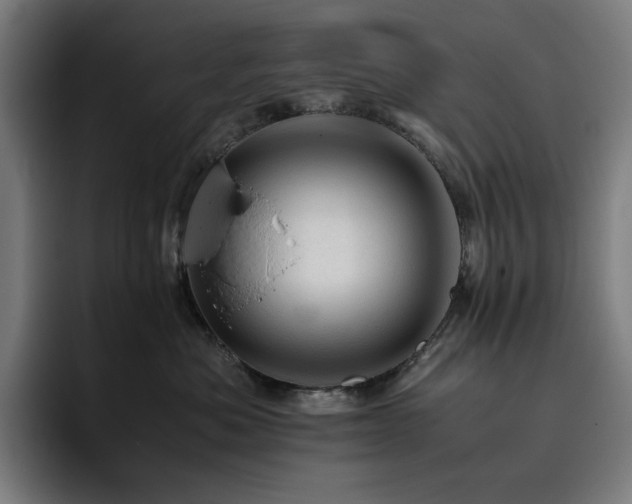 X0000093430525200710121204