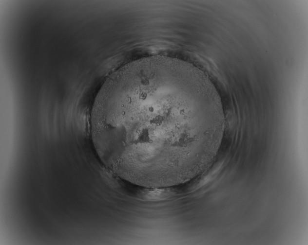 X0000093430527200710121204