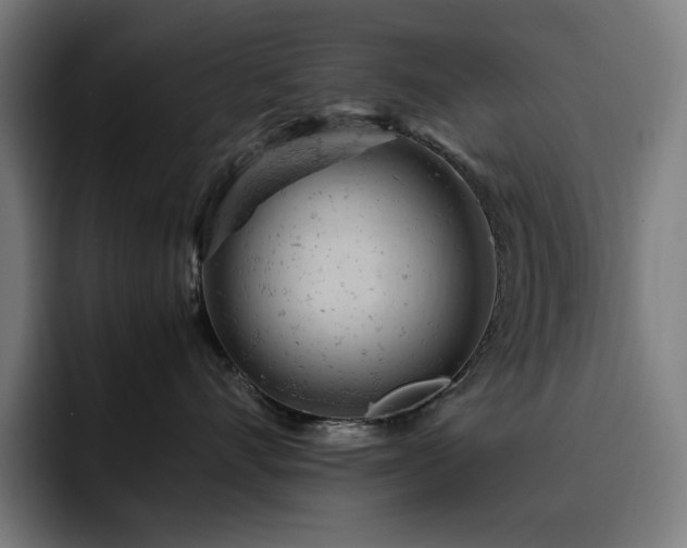 X0000093430528200710121204