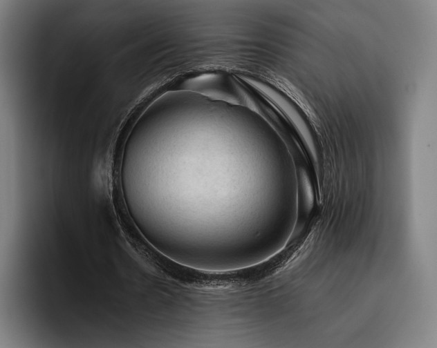 X0000093430530200710121203