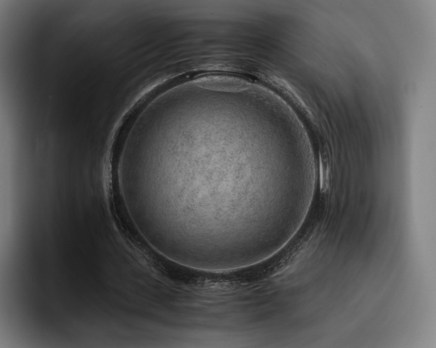 X0000093430531200710121203
