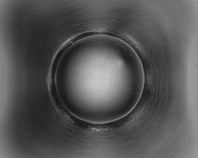 X0000093430532200710121203