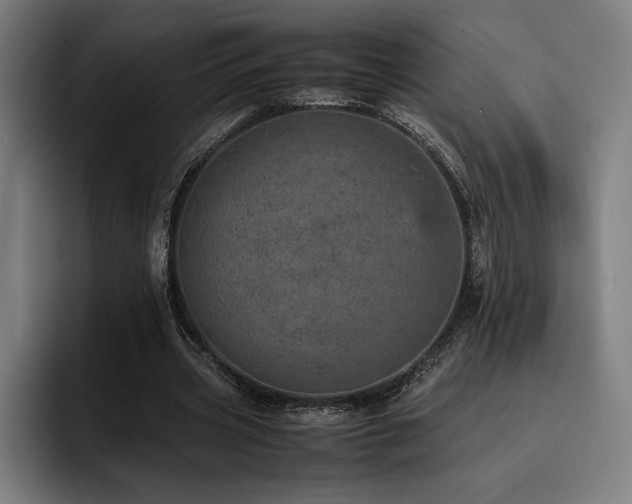 X0000093430533200710121203