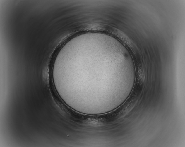 X0000093430534200710121203