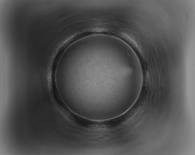 X0000093430535200710121203