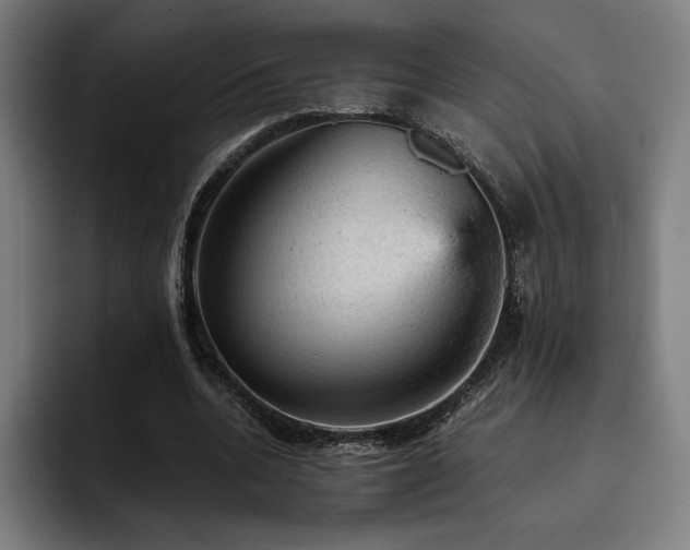 X0000093430536200710121203