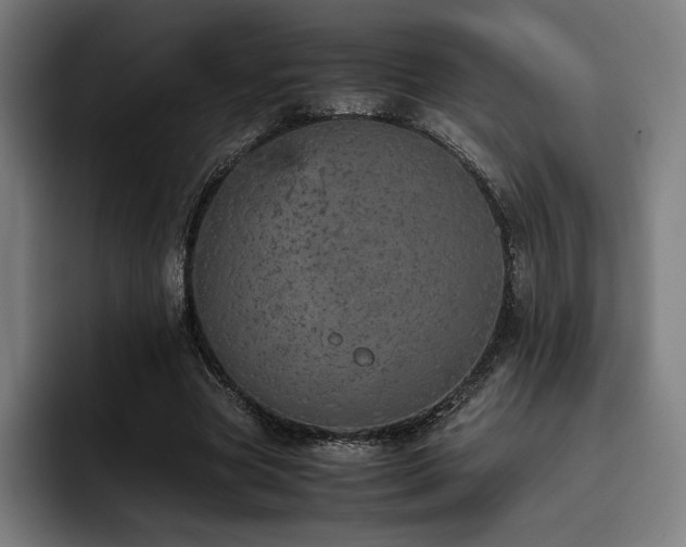 X0000093430537200710121203
