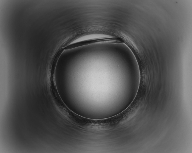 X0000093430538200710121203