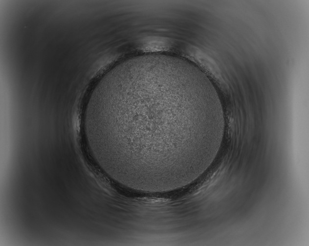 X0000093430539200710121203