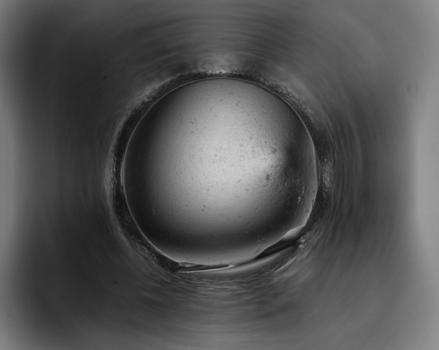 X0000093430540200710121203