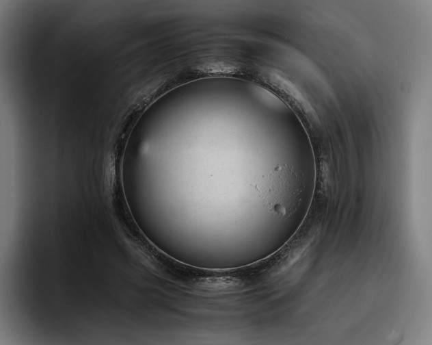 X0000093430541200710121203