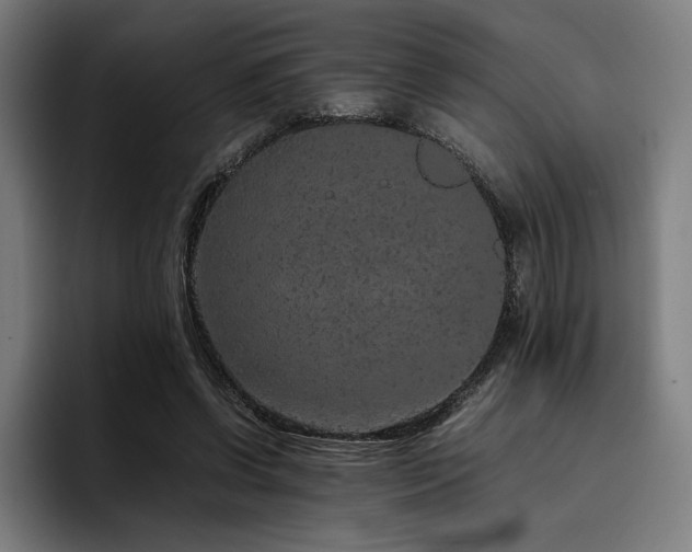 X0000093430542200710121203