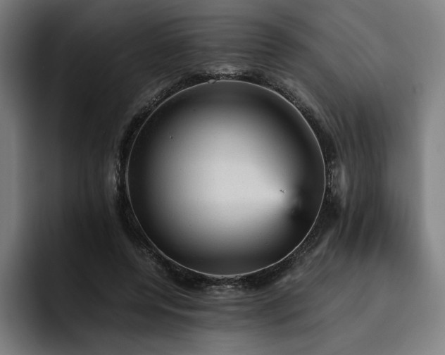 X0000093430544200710121203