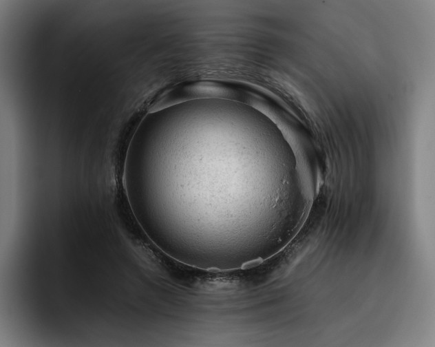 X0000093430546200710121203