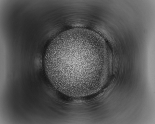 X0000093430547200710121203
