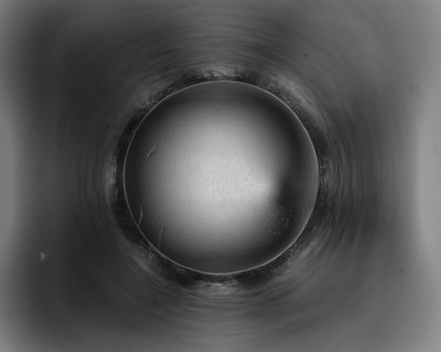 X0000093430548200710121203