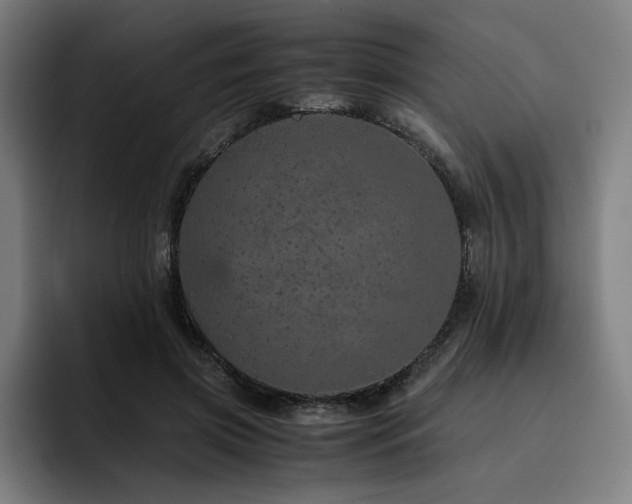 X0000093430549200710121203