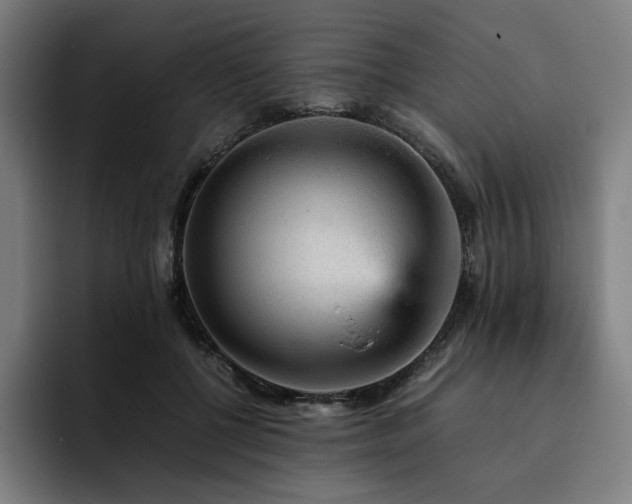 X0000093430552200710121203