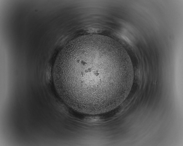 X0000093430554200710121203