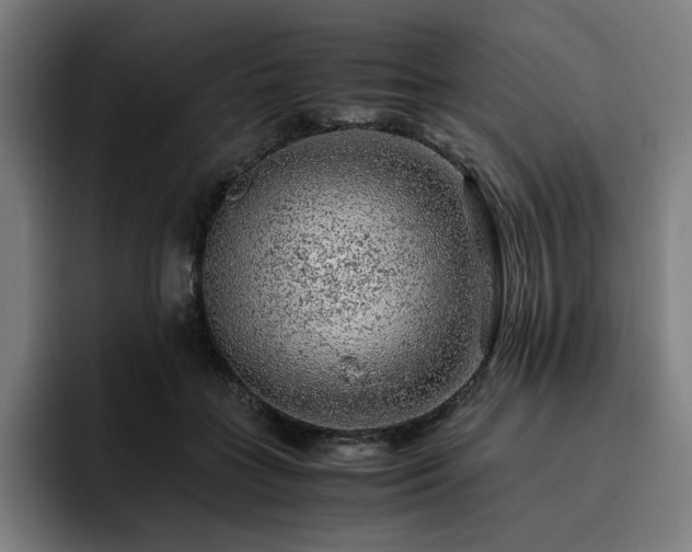 X0000093430555200710121203