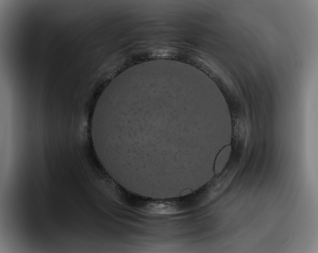 X0000093430557200710121204