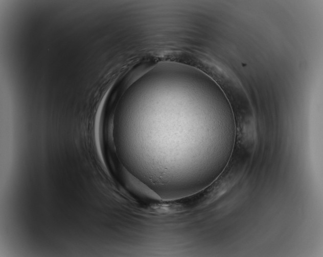 X0000093430558200710121204