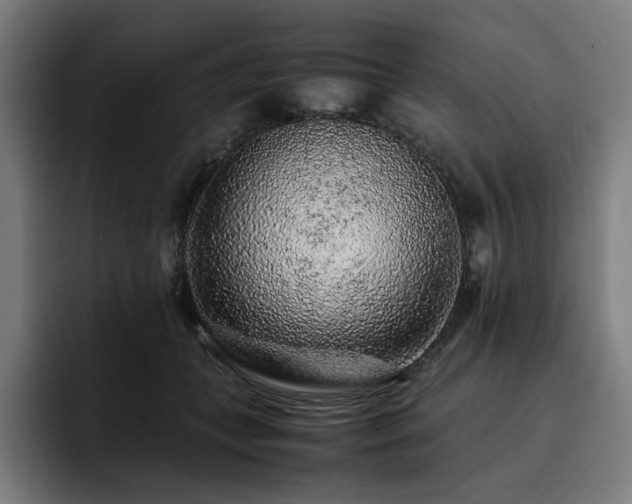 X0000093430559200710121204