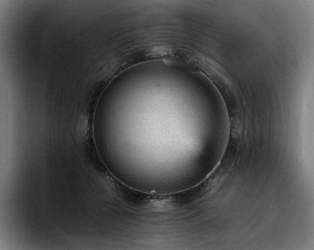 X0000093430560200710121204