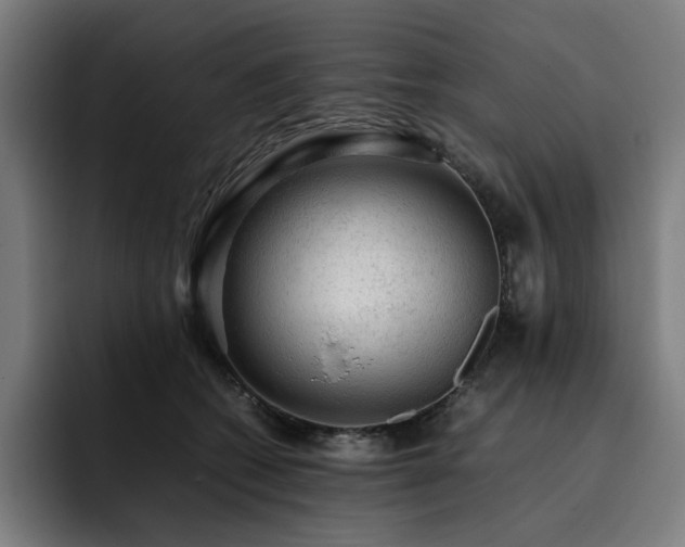 X0000093430562200710121204