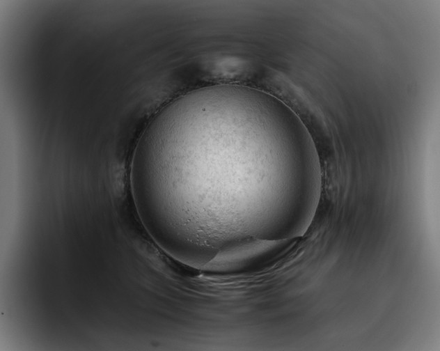 X0000093430563200710121204