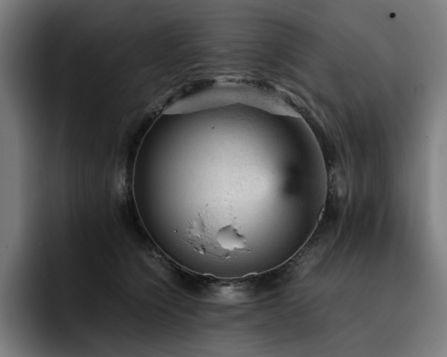 X0000093430564200710121204