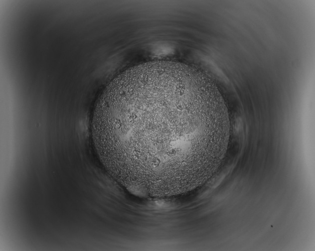 X0000093430565200710121204