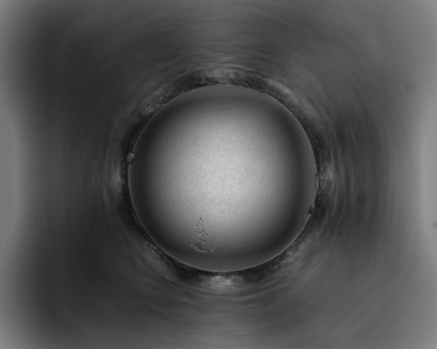X0000093430566200710121204