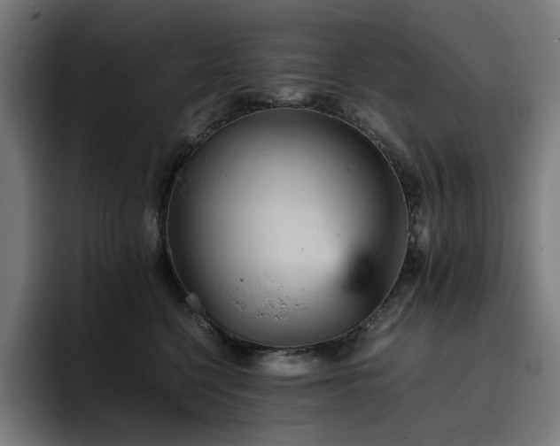 X0000093430568200710121204