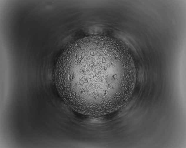 X0000093430569200710121204