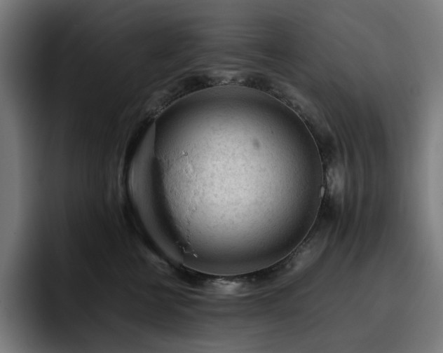 X0000093430570200710121204