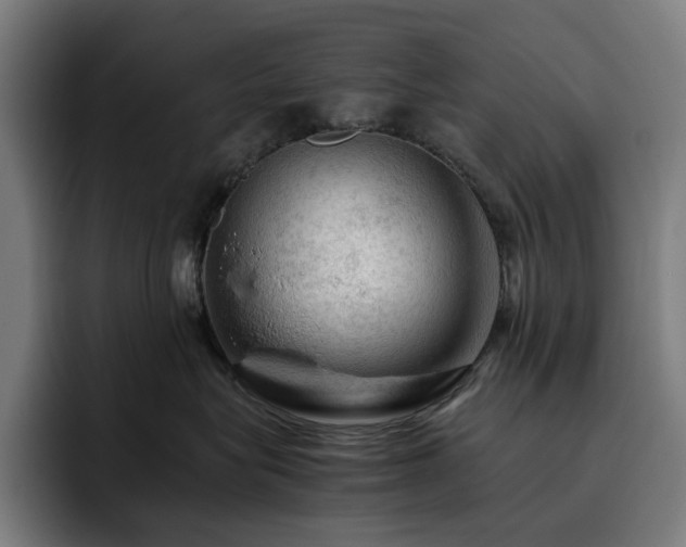 X0000093430575200710121204