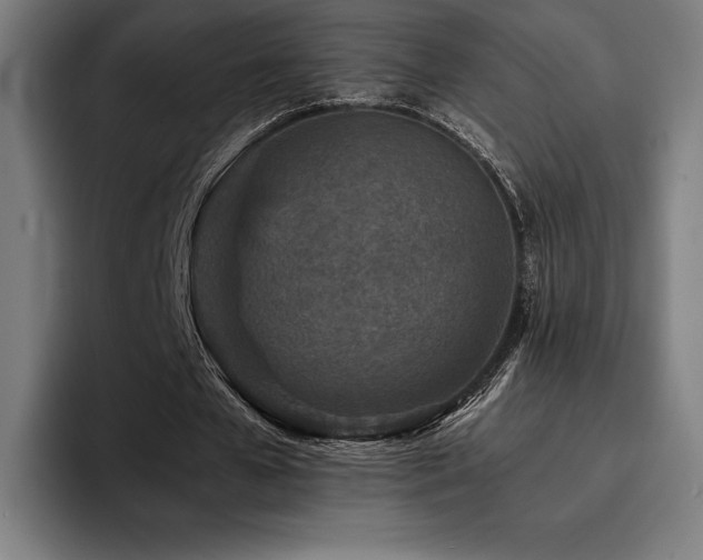 X0000093430577200710121203