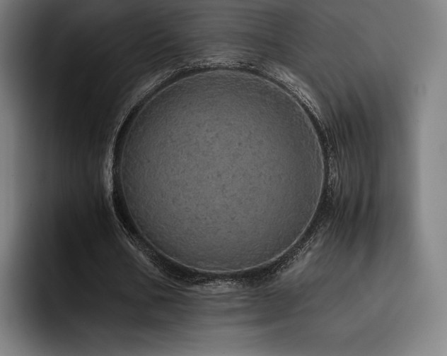 X0000093430578200710121203