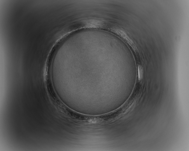 X0000093430579200710121203