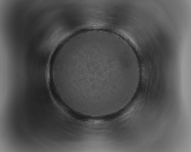 X0000093430582200710121203