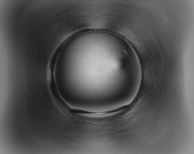X0000093430584200710121203